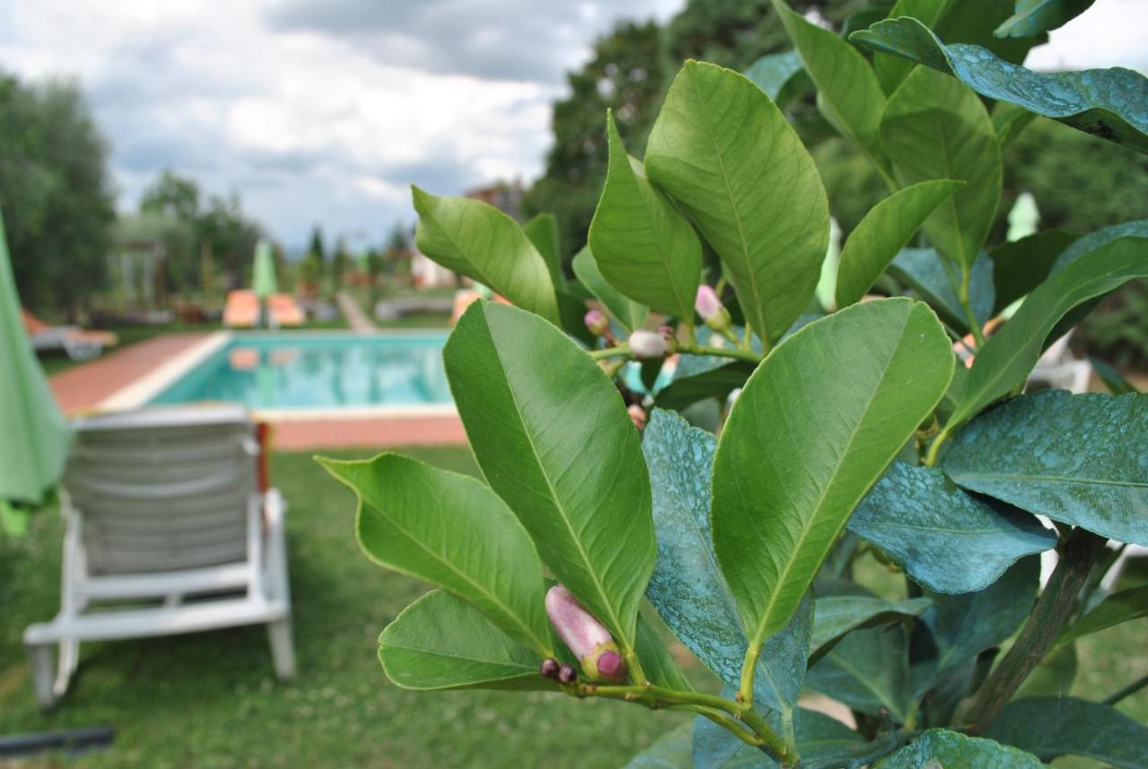 Agriturismo La Nicchia Кастелнуово Берарденга Екстериор снимка